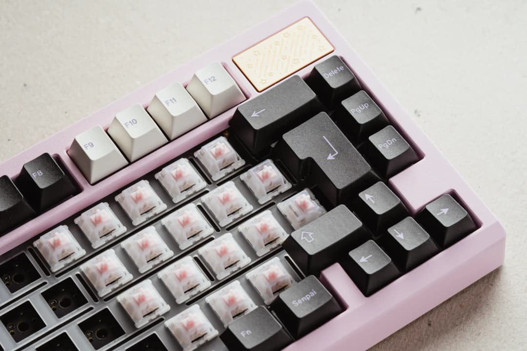 Tecsee Strawberry Ice Linear Switches