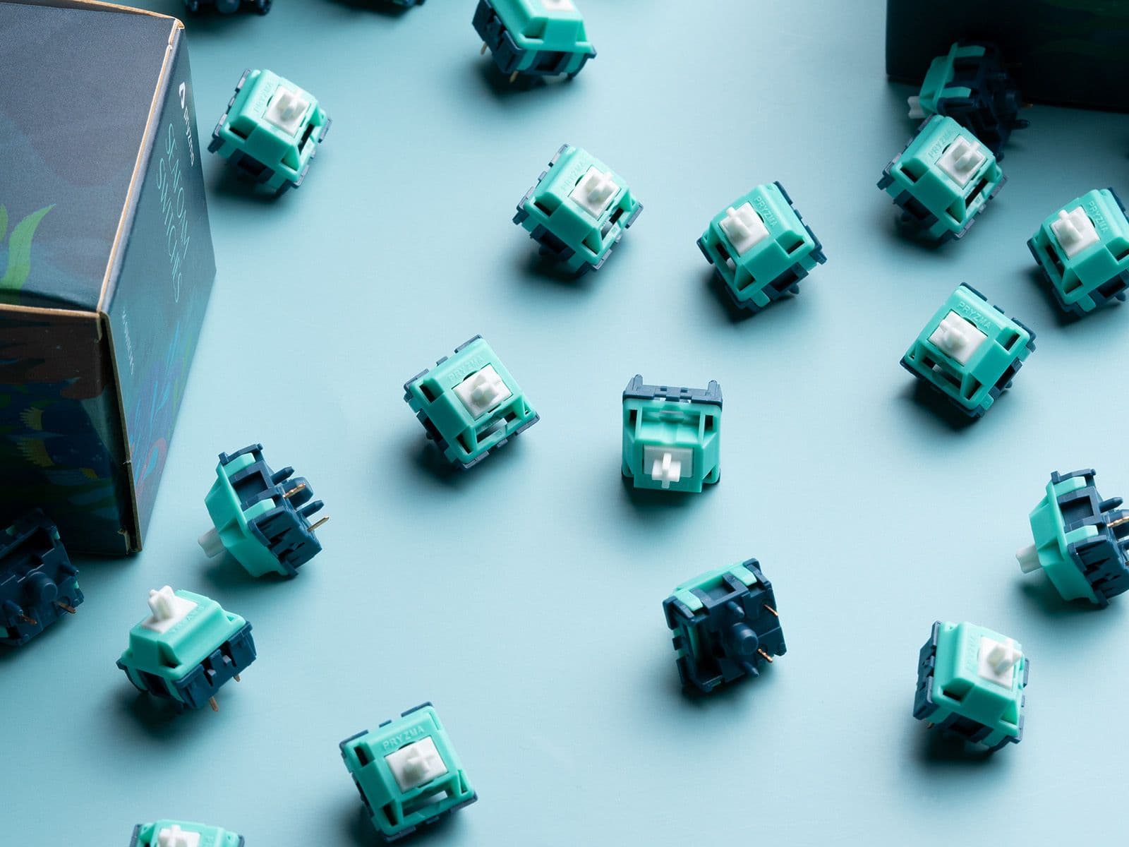 Pryzma Seafoam Switches